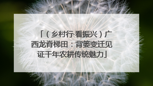 （乡村行·看振兴）广西龙脊梯田：背篓变迁见证千年农耕传统魅力