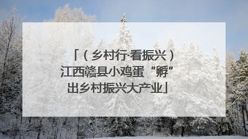 （乡村行·看振兴）江西赣县小鸡蛋“孵”出乡村振兴大产业
