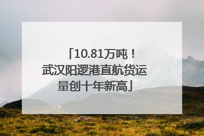 10.81万吨！武汉阳逻港直航货运量创十年新高
