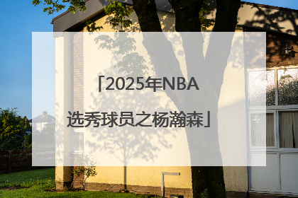 2025年NBA选秀球员之杨瀚森