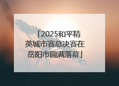 2025和平精英城市赛总决赛在岳阳市圆满落幕