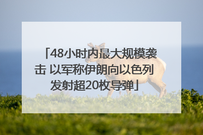 48小时内最大规模袭击 以军称伊朗向以色列发射超20枚导弹