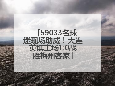 59033名球迷现场助威！大连英博主场1:0战胜梅州客家