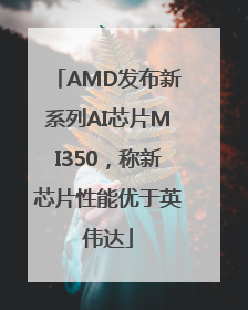 AMD发布新系列AI芯片MI350，称新芯片性能优于英伟达