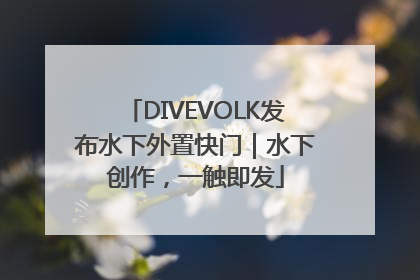DIVEVOLK发布水下外置快门｜水下创作，一触即发